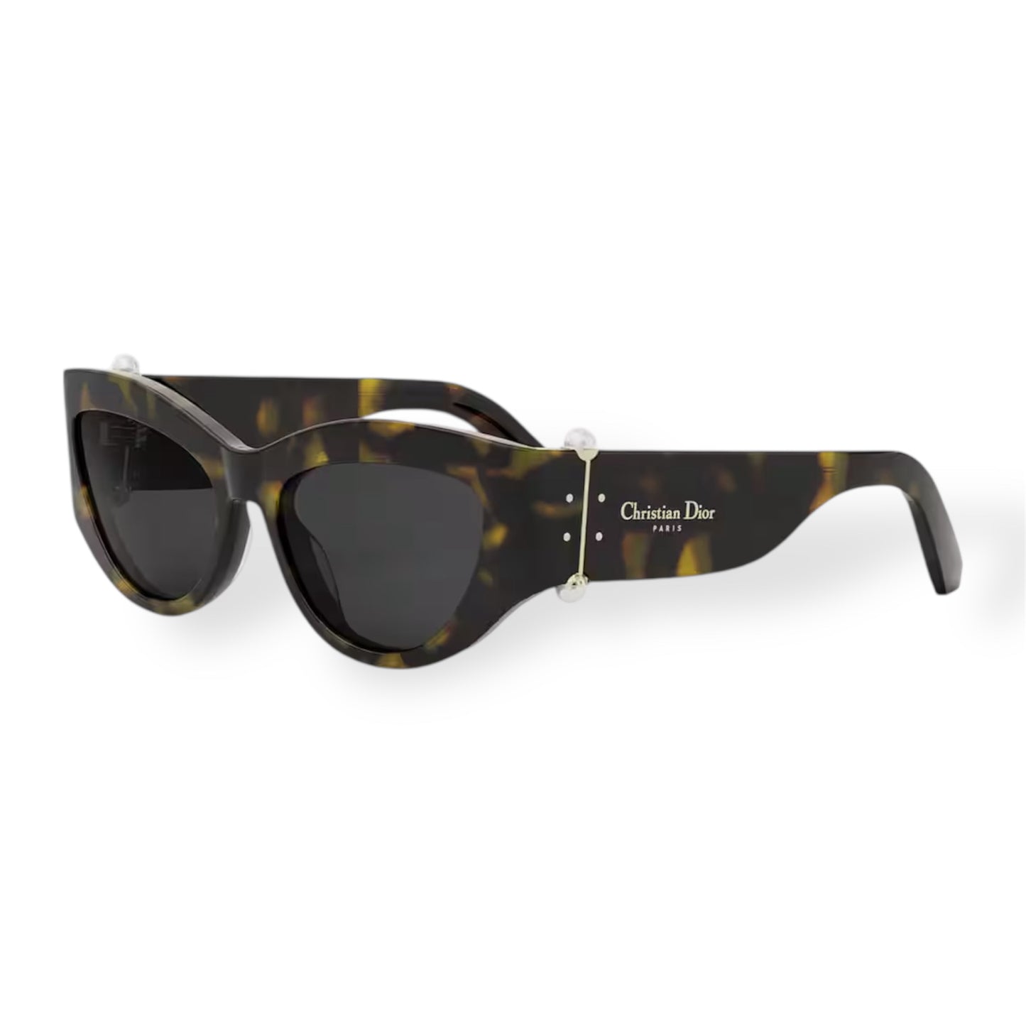 Christian Dior – DiorTribales B1I Cat-Eye Sunglasses