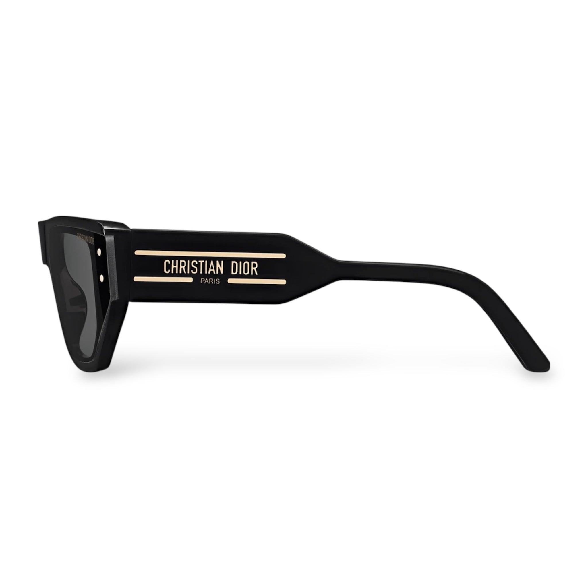Christian Dior - DiorSignature S15I Sunglasses