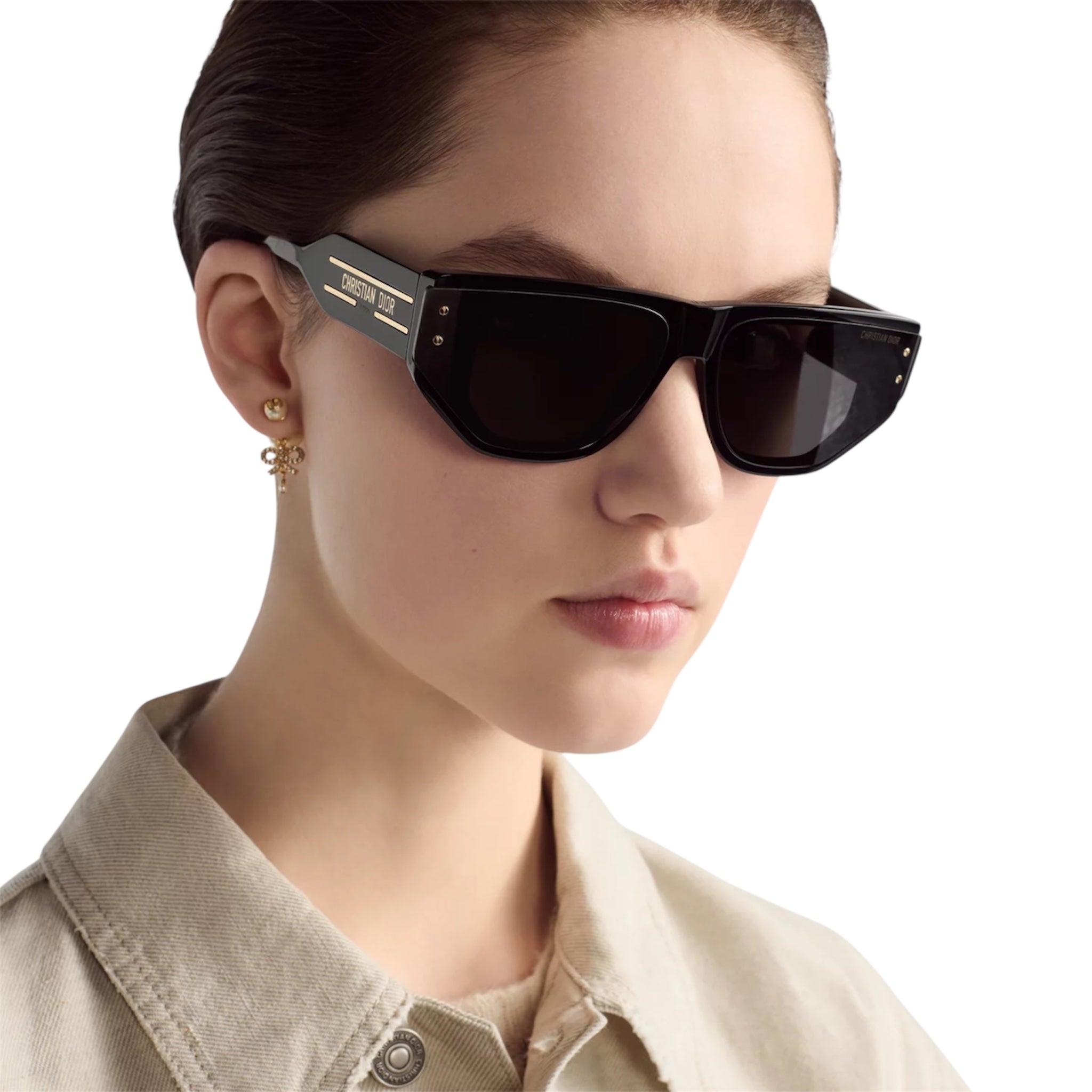 Christian Dior - DiorSignature S15I Sunglasses