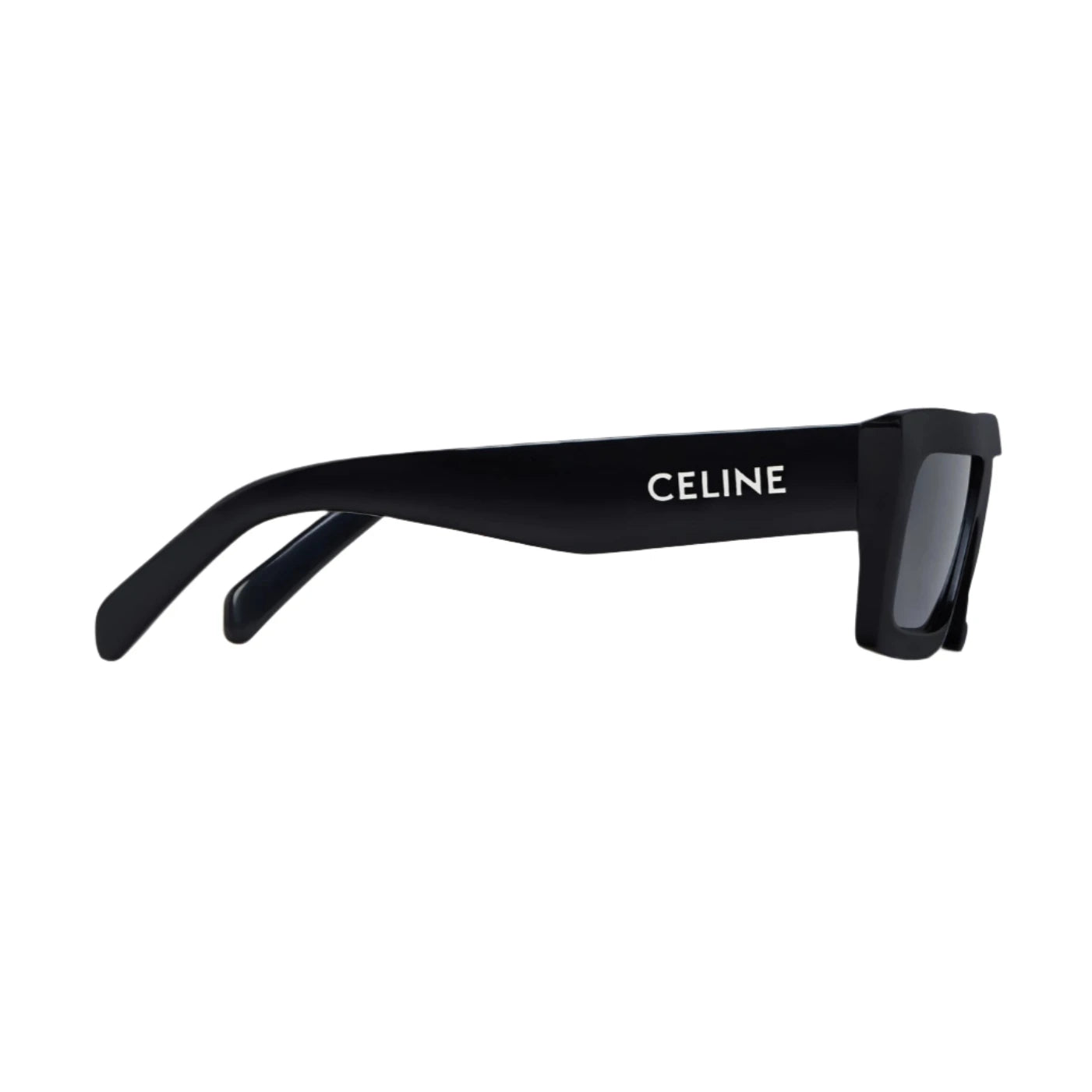 Celine Monochroms 02 Acetate Sunglasses