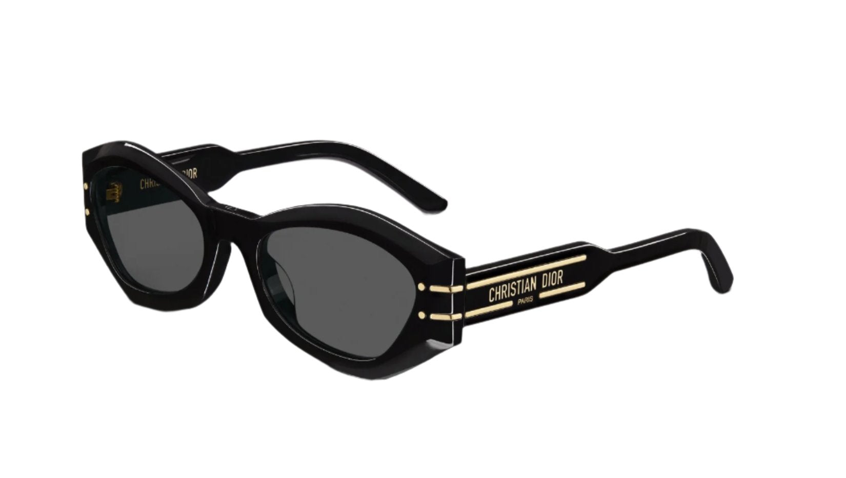 Christian Dior Signature B1U Sunglasses
