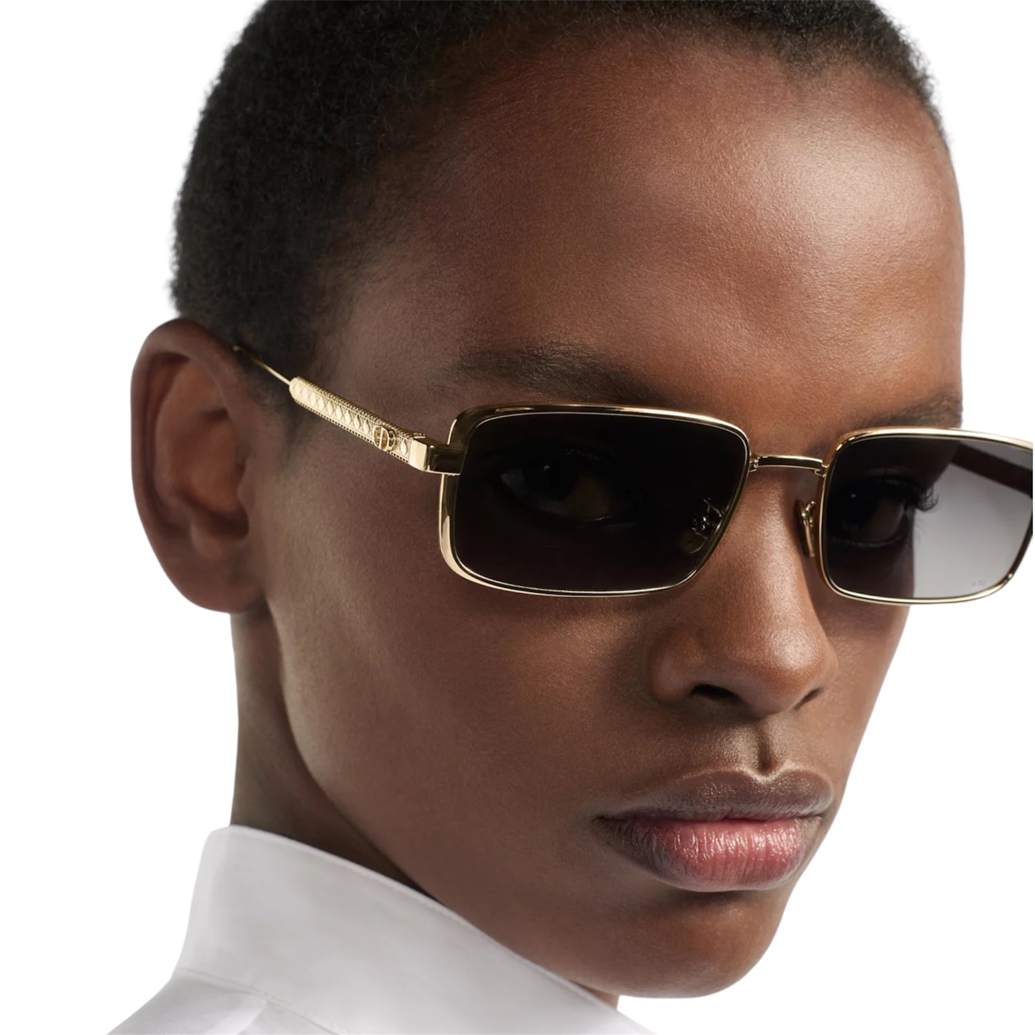 Christian Dior – DiorCannage S2U Sunglasses