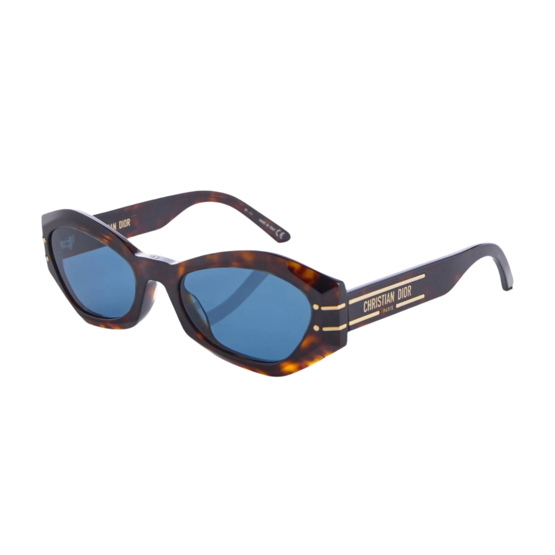 Christian Dior Signature B1U Sunglasses
